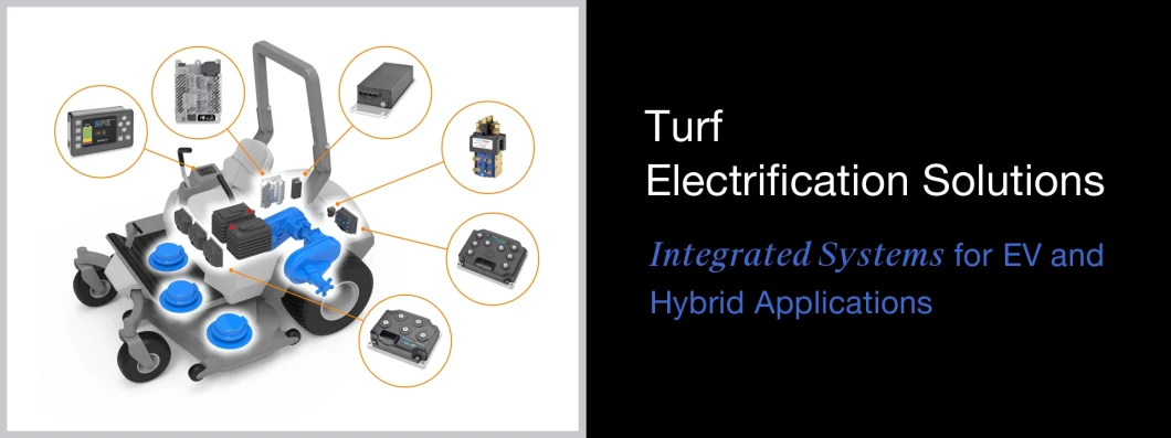 First-Selling Factory Supplied 36V 100A EV DC Contactor Spi-Sw80-2366