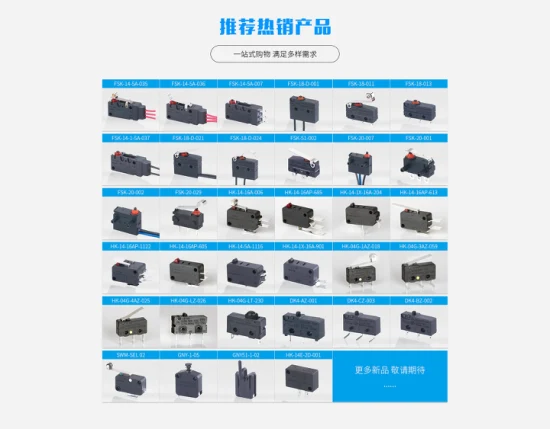 HK-11 3X4X2 Two Foot Tongda Weipeng Tact Switch Mini Limit para Eletrodomésticos com ENEC TUV UL